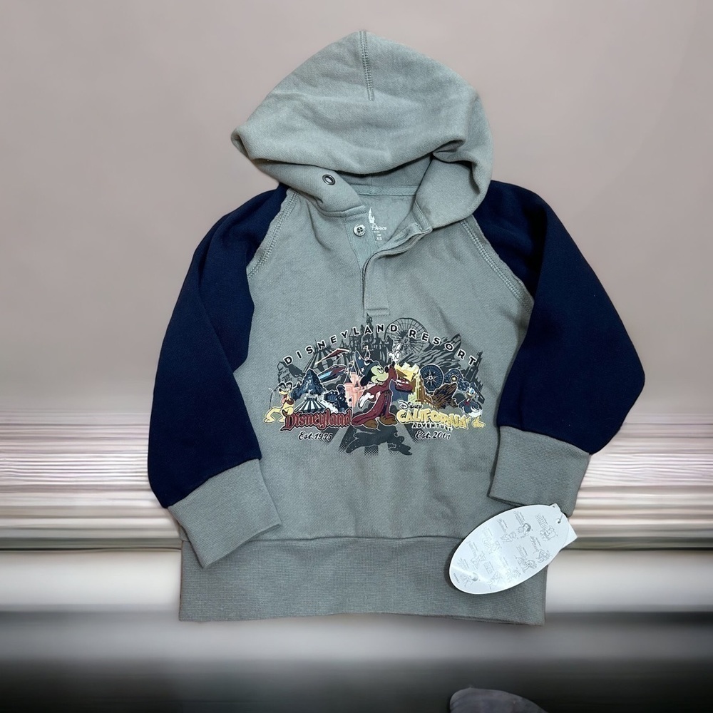 Disneyland Resort Sweatshirt NWT Sz 2-3 Hooded Resorts Gray